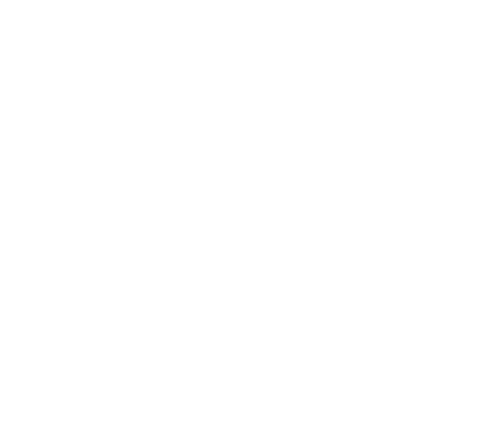 official-website-ferry-lobos